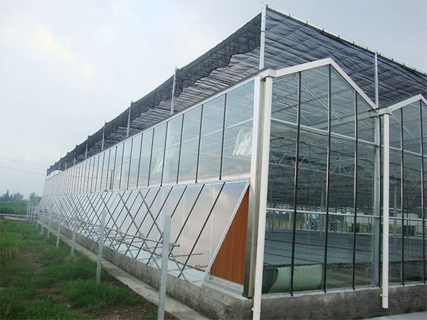玻璃智能温室